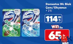 Domestos Wc Blok Çam/Okyanus 2'li Domestos Wc Blok Çam/Okyanus 2'li