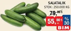 Salatalık Kg Salatalık Kg