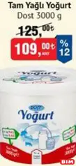 Dost Tam Yağlı Yoğurt 3000 g Dost Tam Yağlı Yoğurt 3000 g