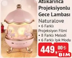 Naturalove Atlıkarınca Projeksiyonlu Gece Lambası Naturalove Atlıkarınca Projeksiyonlu Gece Lambası