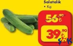 Salatalık Kg Salatalık Kg