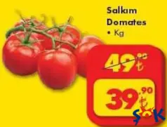 Salkım Domates kg Salkım Domates kg