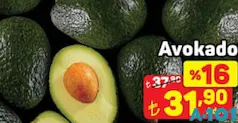 Avokado Adet Avokado Adet