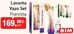 Frannita Lavanta Vazo Set Frannita Lavanta Vazo Set