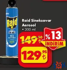 Raid Sineksavar Aerosol 300 ml