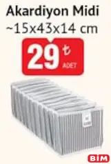 Akardiyon Midi 15x43x14 cm Akardiyon Midi 15x43x14 cm