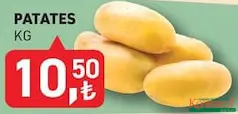 Patates kg - Koop Market kampanyası Patates kg - Koop Market'te sadece 10,50 TL