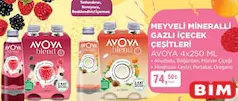 Avoya Meyveli Mineralli Gazlı İçecek Çeşitleri 4x250 ml - BİM'de 74,50 TL