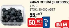 Yaban Mersini (Blueberry) 125 g Yaban Mersini (Blueberry) 125 g - BİM'de 50,00 TL