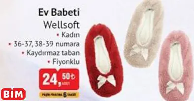 Wellsoft Ev Babeti