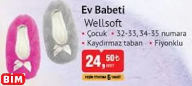 Wellsoft Ev Babeti