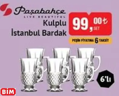 Paşabahçe Live Beautiful Kulplu İstanbul Bardak
