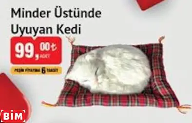 Minder Üstünde Uyuyan Kedi