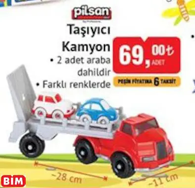 Pilsan Taşıyıcı Kamyon