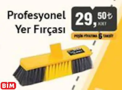 Sgs Profesyonel Yer Fırçası