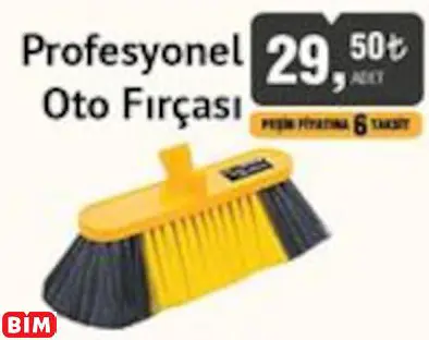 Sgs Profesyonel  Oto Fırçası