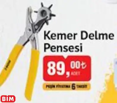 Sgs Kemer Delme Pensesi