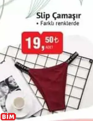 Slip Külot Çamaşır