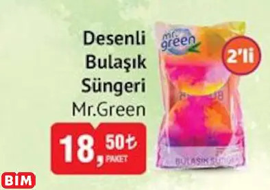 Mr.Green Desenli Bulaşık Süngeri