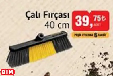 SGS Çalı Fırçası 40 Cm