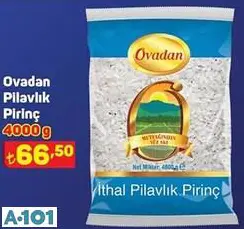 Ovadan Pilavlık Pirinç