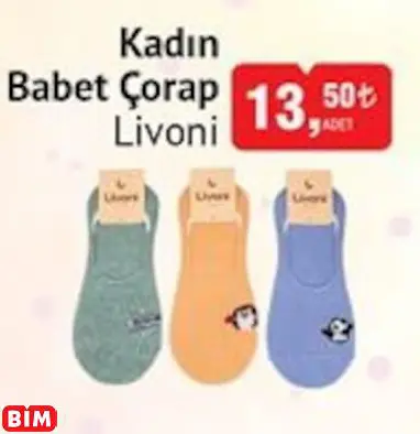 Livoni Kadın Babet Çorap