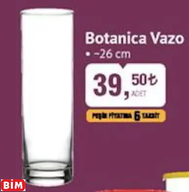 Paşabahçe Live Beautiful Botanica Vazo