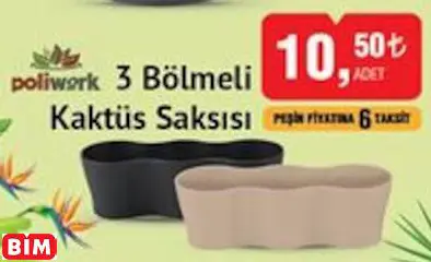 Poliwork 3 Bölmeli Kaktüs Saksısı