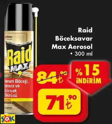 Raid Böceksavar Max Aerosol Raid Böceksavar Max Aerosol