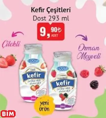 Dost  Kefir Çeşitleri