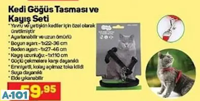 Kedi Göğüs Tasması Ve Kayış Seti