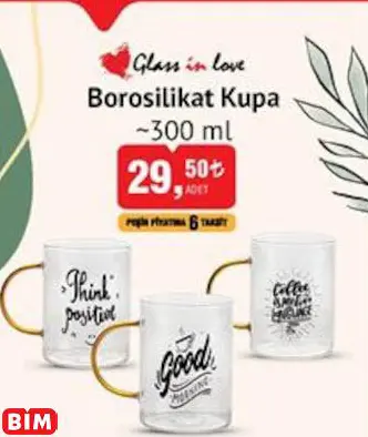 Glass İn Love Borosilikat Kupa