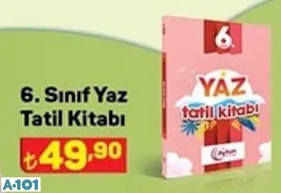 6. sınıf yaz tatil kitabı