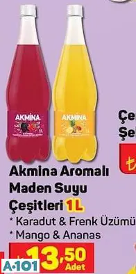 Akmina Aromalı Maden Suyu