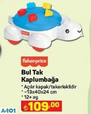 Fisher Price Bultak Kaplumbağa