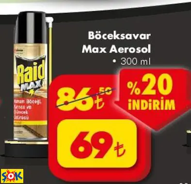 Raid Böceksavar Max Aerosol