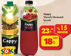 Cappy Vişneli/Ananaslı İçecek