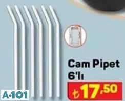 Cam Pipet 6'Lı