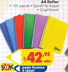 A4 Defter • 120 Yaprak • Spiralli Pp Kapak • Çizgili/Kareli