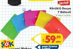 Körüklü Dosya 7 Bölmeli