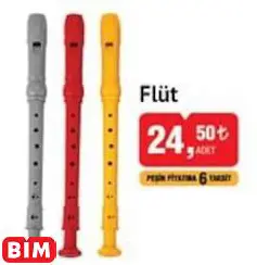Studi Flüt Studi Flüt