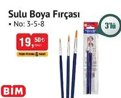 Studi Sulu Boya Fırçası