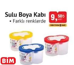 Studi Sulu Boya Kabı