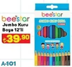 Beestar Jumbo Kuru Boya 12'Li