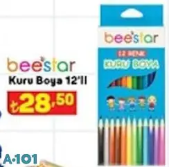 Beestar Kuru Boya 12'Li