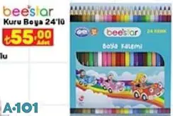beestar kuru boya 24'lü beestar kuru boya 24'lü
