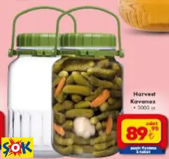 Harvest Kavanoz 3000 Cc