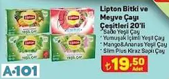 Lipton Bitki Ve Meyve Çayı