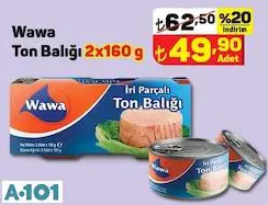 Wawa Ton Balığı