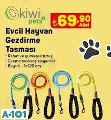 evcil hayvan gezdirme tasması evcil hayvan gezdirme tasması